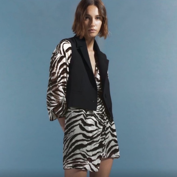 🆕 Zara Animal Print Dress Black & White. Underlined. NWOT - Picture 6 of 8